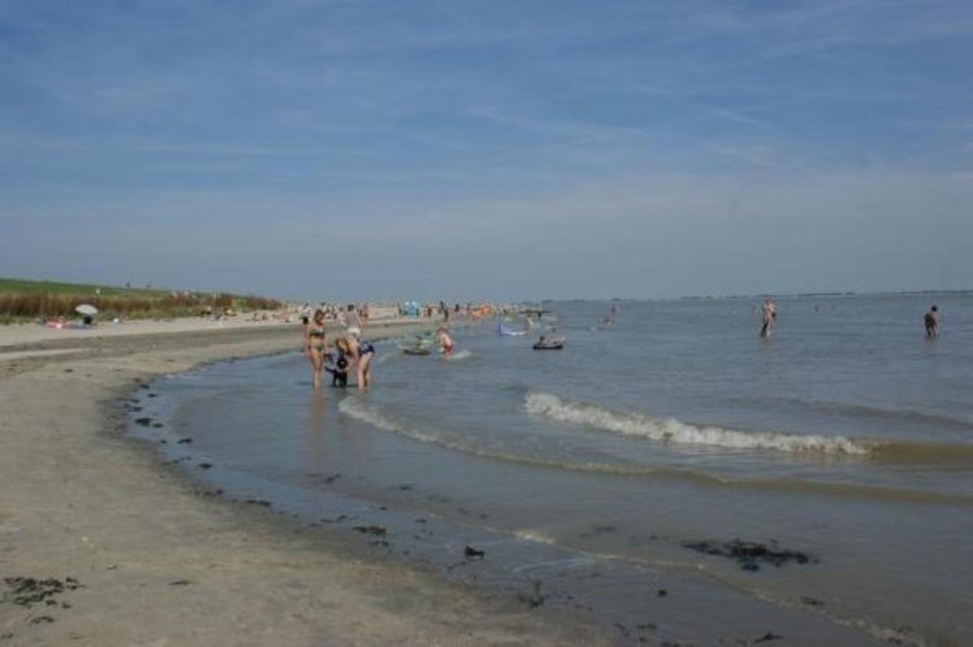 Mobilheim Model 2017 Mit Fliessenterrasse Fuer 6 Personen Auf Dem Scheldeoord In - Zeeland - Holland